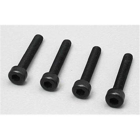 Insexskruv 2.5x15mm (4)