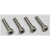 Insexskruv Rostfri 4-40x1/2" (4)