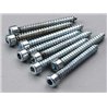 Socket Head Sheet Metal Screw No.4 x 1" (8)