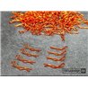 1/10 Body Clips Kit (8) - Orange