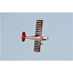 Super Decathlon 2450mm 33cc Gas ARF