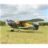 Antonov An-2 30-35cc 2425mm vingspan
