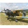 Antonov An-2 30-35cc 2425mm vingspan