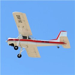 L-60 Brigadyr 30-35cc Gas 2668mm ARF