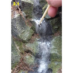 Scenic Fibres 12.5g