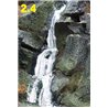 Scenic Fibres 12.5g