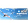 Ranger 600 4CH Gyro 600mm RTF White