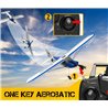 Sport Cub 500 4CH Gyro 500mm RTF Blue