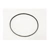 DRIVE BELT (384T) V-ONE R4 EVO (R4/EVO) - VZW202