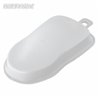 Paint Sample Body PET White (30pcs)