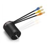 Motor QuicRun 2435SL 6500kV G3 1/18