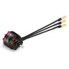 Skywalker 2814 Motor D35.1x34mm 1000kV 55A/810W/43s