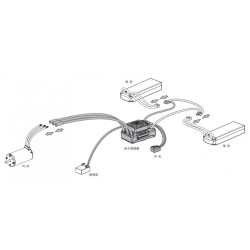 EzRun Combo MAX5 - 5687SL 1100kV 3-8S 1/5