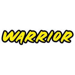 Wave Warrior V4 2.4GHz RTR
