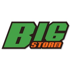 Big Storm Catamaran BL ARTR w/o Batteries & Charger