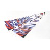 Discovery main sail & jib sail set