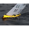 Sailboat Mint IOM PNP Pearl Yellow