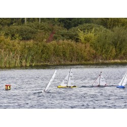 Sailboat Mint IOM PNP Pearl Yellow