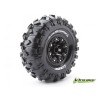 Tire & Wheel CR-ROWDY 2,2" Black (2)