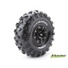Tire & Wheel CR-ROWDY 2,2" Black (2)