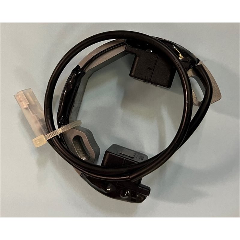 Stator
