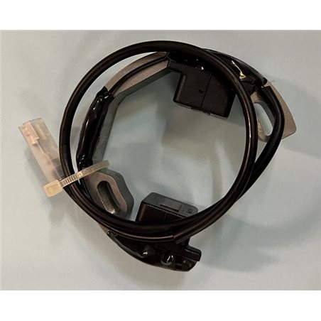 Stator
