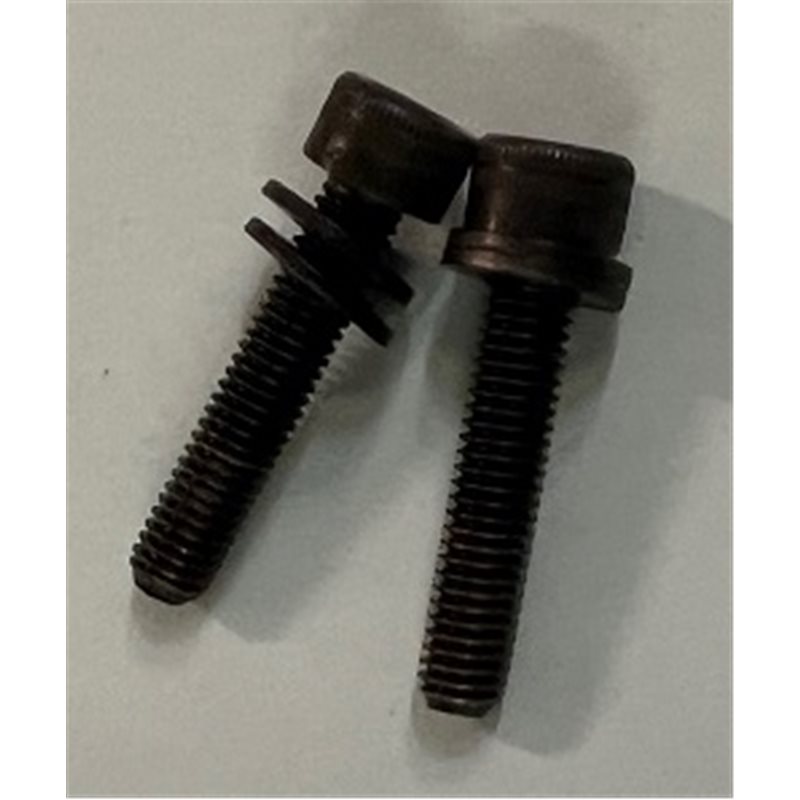 Stator bolts 2 pcs
