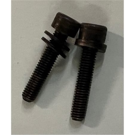 Stator bolts 2 pcs