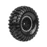 Däck & Fälg CR-SIXGEAR 1.9" Svart (2)