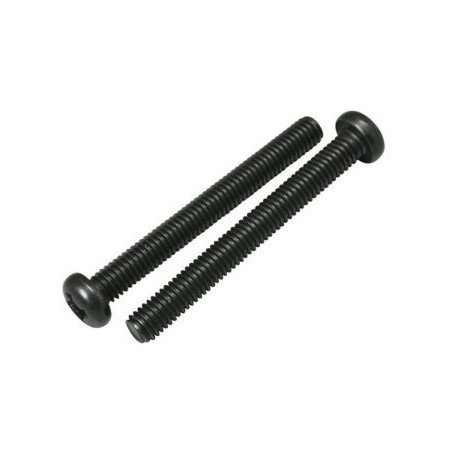 Silencer Fixing Screw E2030, 842