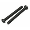 Silencer Fixing Screw E2030, 842