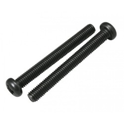 Silencer Fixing Screw E2030, 842