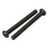 Silencer Fixing Screw E2030, 842