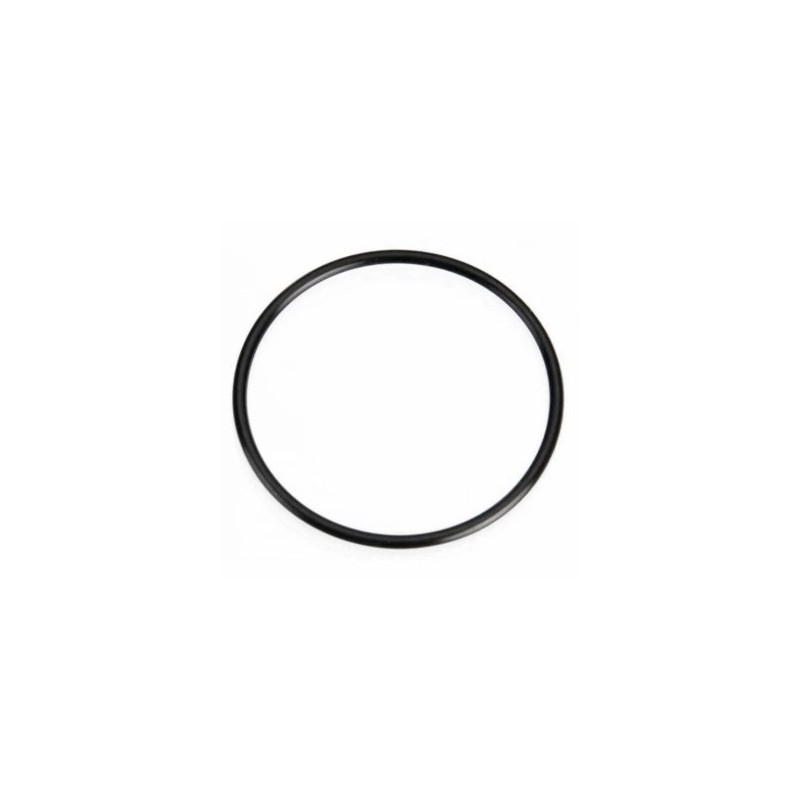 O-Ring (S-29)