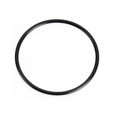 O-Ring (S-29)