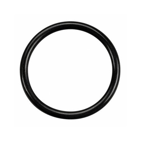 Carburettor Seal O-RIng (S-15) 20K, 21D