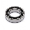 Ball Bearing Rear Ceramic Speed 21V-Spec