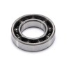 Ball Bearing Rear Ceramic Speed 21V-Spec