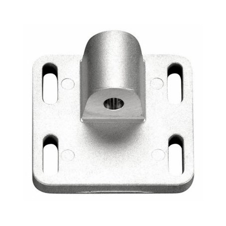 Mount Plate 21XM