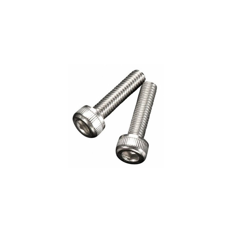 Silencer Fixing Screw E-2050