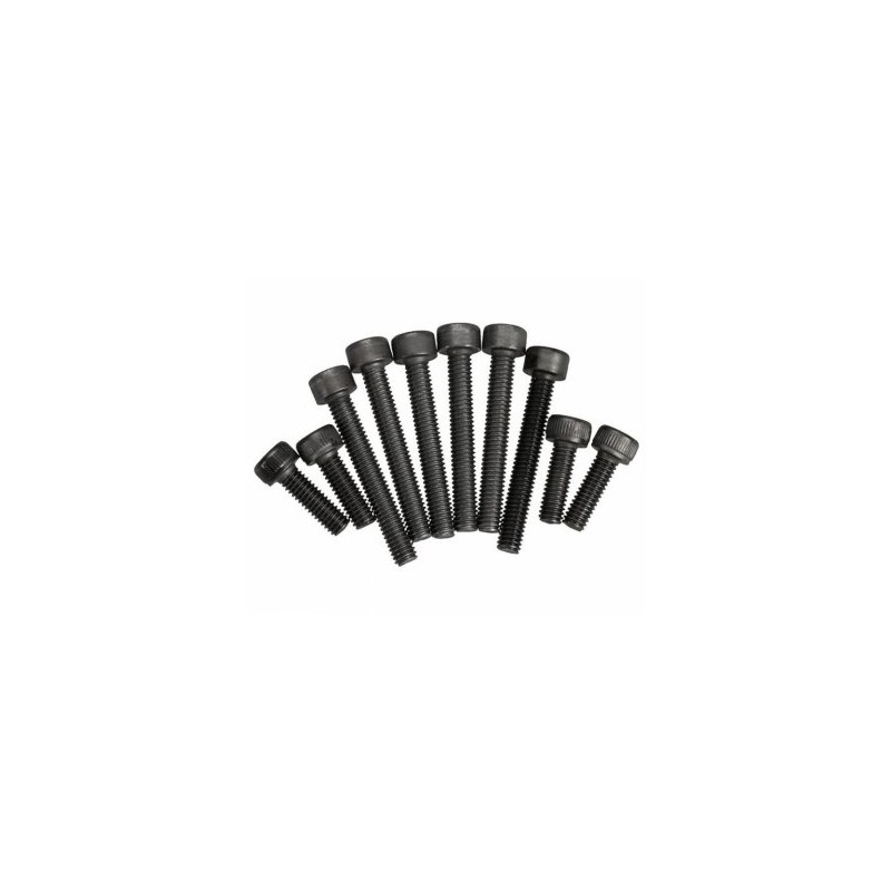 Screw Set 21XM