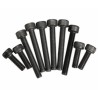 Screw Set 21XM