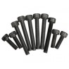 Screw Set 21XM
