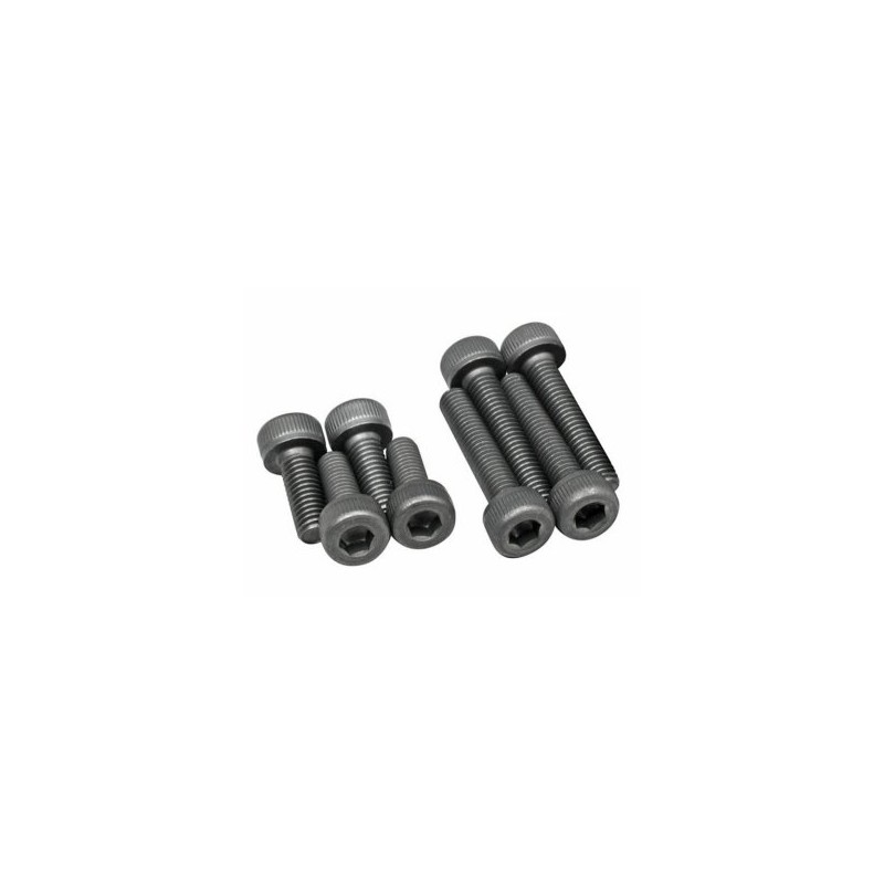 Screw Set 46AX, 55AX-BE