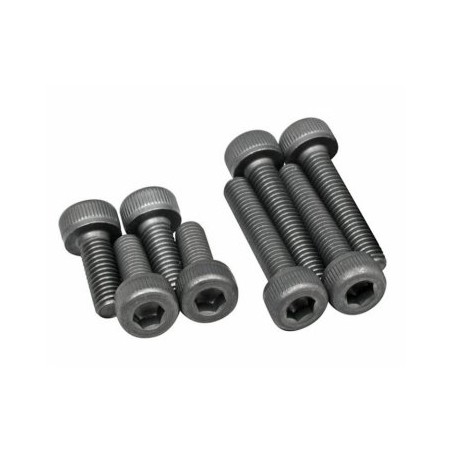 Screw Set 46AX, 55AX-BE