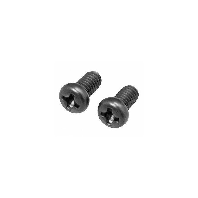 Carburettor Fixing Screw 21-50