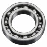 Ball Bearing Rear 65AX