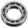 Ball Bearing Rear 65AX