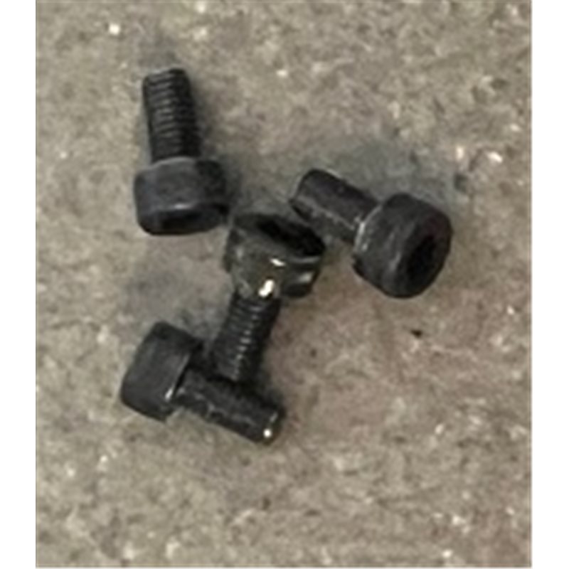 Needle valve bolts 4 pcs
