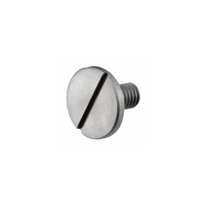 Crank Pin Stop Screw GT22, GF30